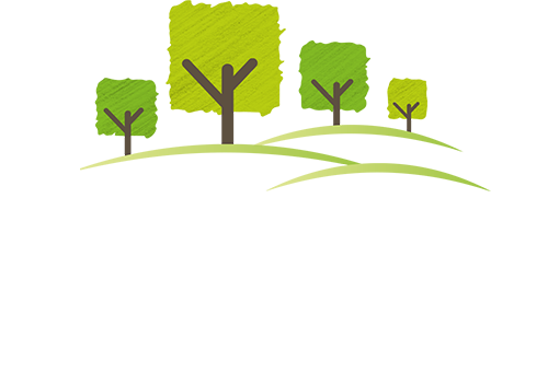 Jeoffrey Pachal